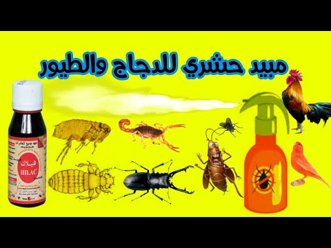 مبيد حشري قوي للقضاء على الحشرات التي تصيب الدجاج والطيور هيلاك 