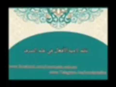 قراءة نظم لامية الأفعال مع زيادات الحضرمي والحسن ولد زين الشنقيطي