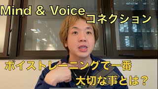 朝声が出しにくい そんな時にはお試し下さい Vt Artist Development Blog