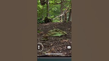 iOS 18 Lock Screen Customization: Transform Your Phone Like Never Before!  #futureofconnectivity#ai