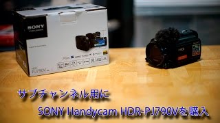 SONY ソニー　ビデオカメラ　YouTube USB ブラウン ソニー FDR-AX45A TI 4Kビデオカメラ Handycam ブロンズブラウン