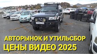 картинка: ЧТО СЕГОДНЯ С АВТОРЫНКАМИ И УТИЛЬСБОРАМИ В НАХОДКЕ, ЦЕНЫ ВИДЕО ОСЕНЬ 2025