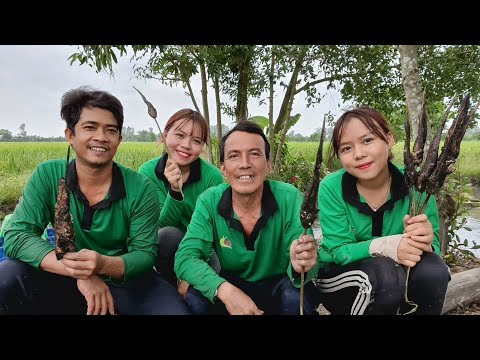 Video Dặm Dấu, Thụt Hang Bắt Cá Có Ngay Bữa Cơm Ngoài Đồng... - youtube