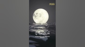 تلاوه هادئة تريح الأعصاب😴🎧 القارئ: حمزه بوديب سورة: المعارج 💙❤