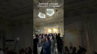 Ulug'bek Sobirov -Mumdin Arib Getasan Тўйдаги Ижроларидан №14#Shorts