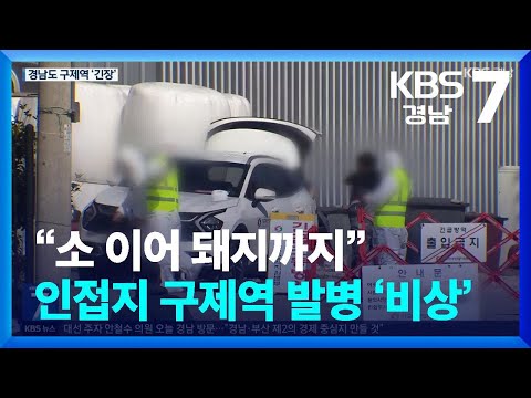 전남, 돼지까지 <strong>구제역</strong> <strong>발생</strong>…경남도 방역 비상 / KBS  2025.04.14.