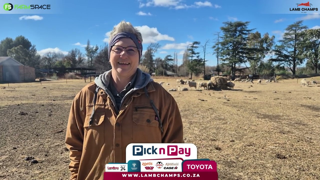 Yolindie Venter skryf die jaar 'n Merino in vir Lamb Champs 2025.