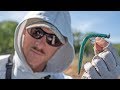 Finesse Stick Bait Fishing | Best Rig for Tough Spring Bass?...