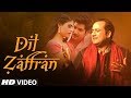 Dil  Zaffran Video Song | Rahat Fateh Ali Khan |  Ravi Shankar |  Kamal Chandra | Shivin | Palak