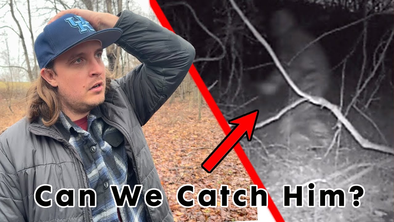 Someone Stole My Traps...