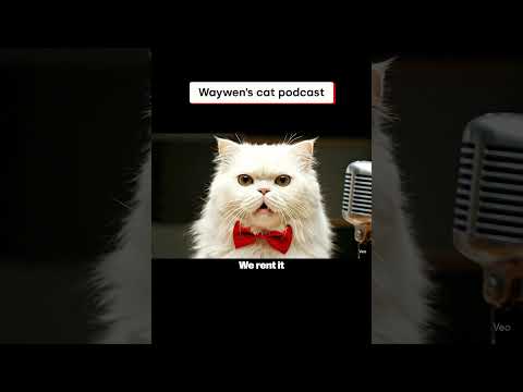 The cat podcast part 10