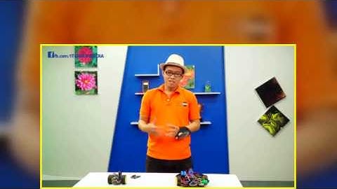 Khóa học Lập trình Robot Arduino Thêm nút BLINK và tạo hai nút Move and Stop Bài 35