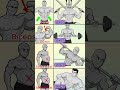 Entrenamiento de Abs, Bíceps y Dorsal #absworkout #fitnessshorts #viralshorts #gymmotivation