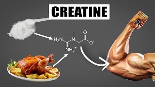 Creatine: How to Use Creatine for Muscle Growth and Avoid Side Effects !