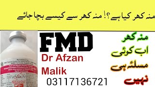 fmd || fmd vaccine||@dr afzan Malik