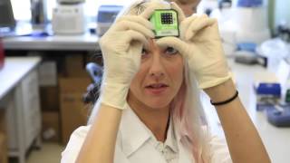 Chemistry Project: Cloning Technology