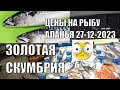 СКУМБРИЯ ПО 500 ЛИР БЕЗ КОММЕНТАРИЕВ ТУРЦИЯ 27 ДЕКАБРЯ 2023 ЦЕНЫ НА РЫБУ