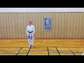 Heian nidan flssig ansicht 1  kata 7 kyu