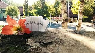 Story Wa AREMA