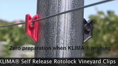Klima Self Release Rotolock Vineyard Clips