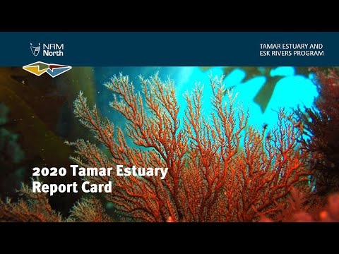 Working Together for Healthy Waterways | 2020 Tamar Estuary Report Card Launch