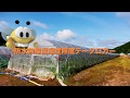 防水無線温湿度照度データロガー　Logbee（ログビー）紹介動画 ｜チトセ工業株式会社