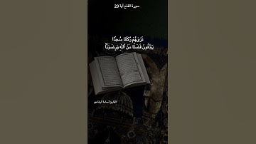 أشداء على الكفار#القارئ أسامة الرفاعي #المصحف #راحة_نفسية #حالات_واتس #اكسبلور