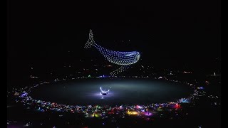 DRIFT & Friends Burning Man Aerial Performance 2023