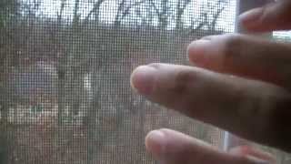 Ambers ASMR: *** Window Tapping ( NO TALKING + SOME SOFT RAIN AND CAR SOUNDS)*** screenshot 5
