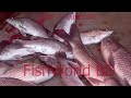Fishing Video The Excellent Fisher Man Fishing Technique Is Still Different From Everyone Else S Fishing Video The Excellent Fisher Man Fishing Technique Is Still Different From Everyone Else S