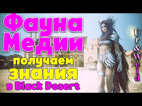 Видео: Фауна Медии в Black Desert: получаем знания