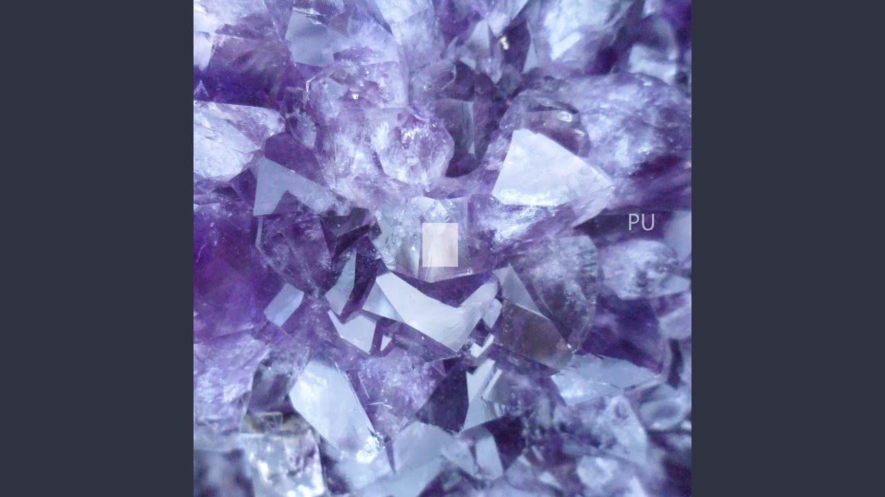 Watch Sunshine and Squirrels on YouTube Watch Sunshine and Squirrels on YouTube