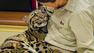 When Animals Showing Love to Human by Their Cute Way - Funny Animal Videos 2023!