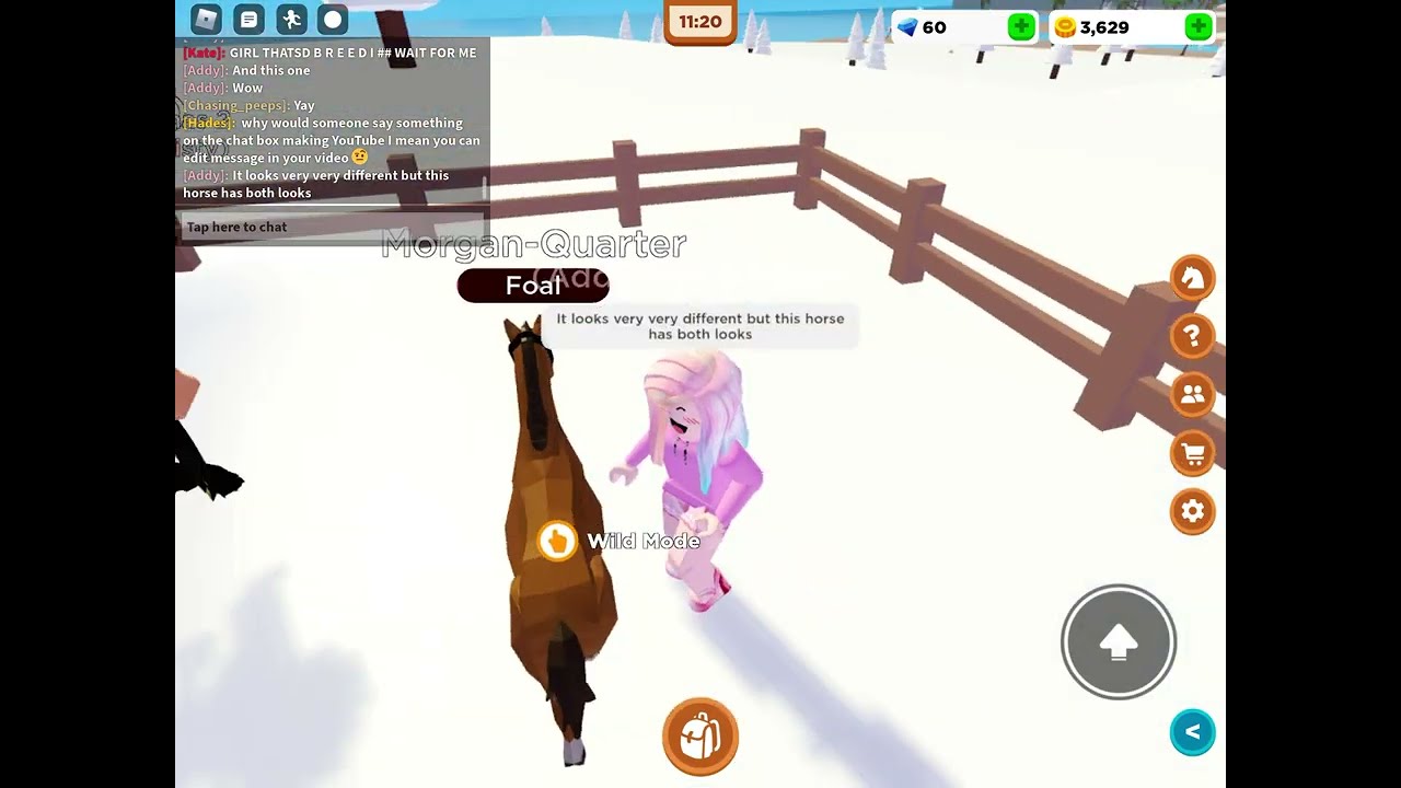 Breeding my horses in roblox horse valley! YouTube