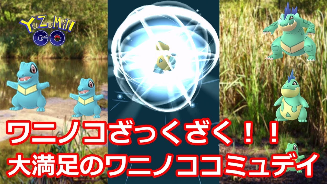 大満足のワニノココミュデイでハイドロカノンする秋田人 ポケモンgo Youtube