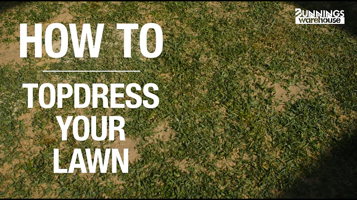 How To Topdress Your Lawn - Bunnings Warehouse