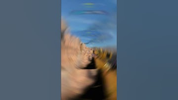 🔥Best🔥 Sniper in the game XRK Stalker #callofduty #modernwarfare3 #360 #360noscope #cod #mw3clips