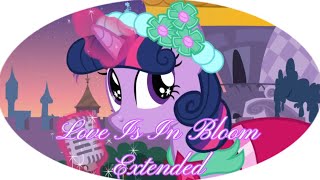 Love Is In Bloom (Extended) | MLP: FiM [Full HD]