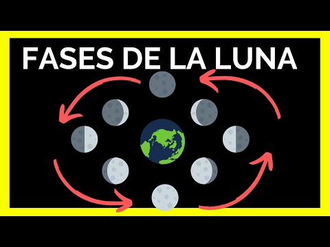 Video: Cómo Determinar La Fase De La Luna