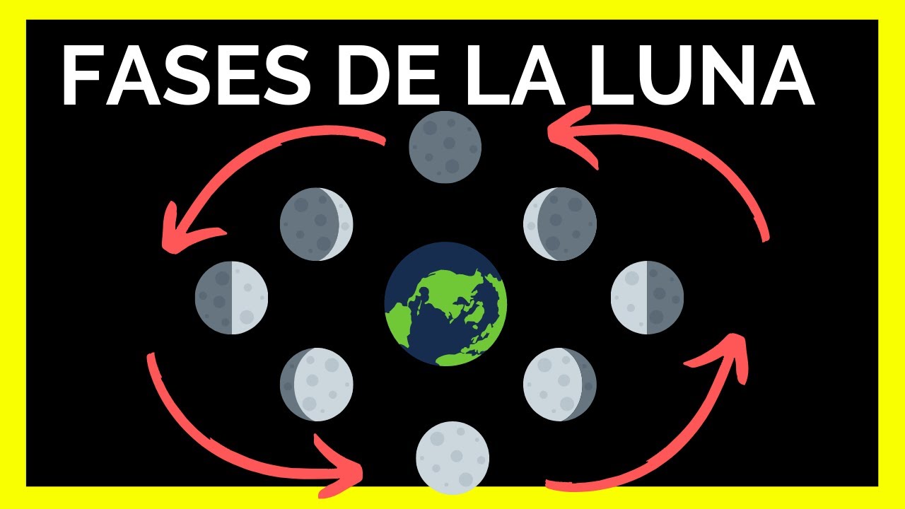 Qué fase dela luna estamos