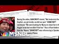 A Closer Look At Several Rioters Used As Evidence In The Case Against Trump | MSNBC