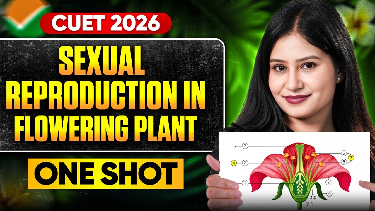 CUET 2026 Biology 🚀 Sexual Reproduction in Flowering Plants | One Shot ...
