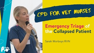 2  - Emergency Triage of the Collapsed Patient with Sarah Worboys RVN  - CPD by The Ralph Veterinary Referral Centre 332 views 6 months ago 34 minutes