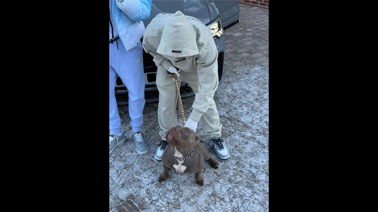 [FREE] Savndo Type Beat - 