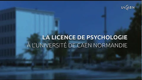 Quelles sont les mentions à l'université ?