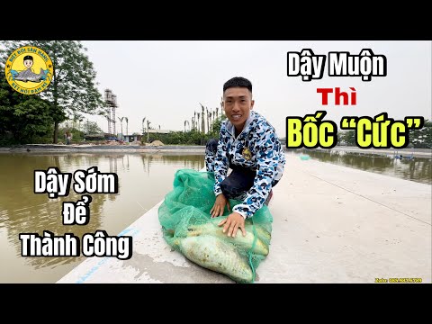 Đi Câu Dậy Muộn thì Chỉ Có Bốc “Cức”