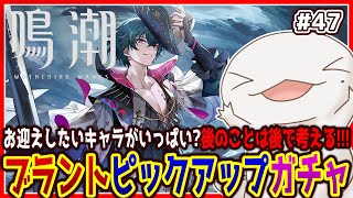 【 #鳴潮 】オオサンショウウオ「漂泊者」になる #47 【両生類系人外VTuber/半崎ウイネコ】【 #WutheringWaves 】