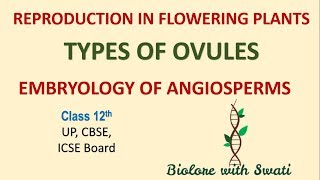 Reproduction In Flowering Plants Types Of Ovules