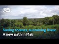 In Mali One Man Is Proving That Saving Forests And Earning A Living Can Go Hand In Hand