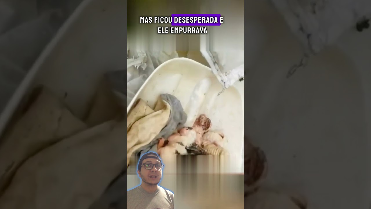 Ninho de gato de esgoto inundado, mãe gata pede ajuda a um homem #shorts